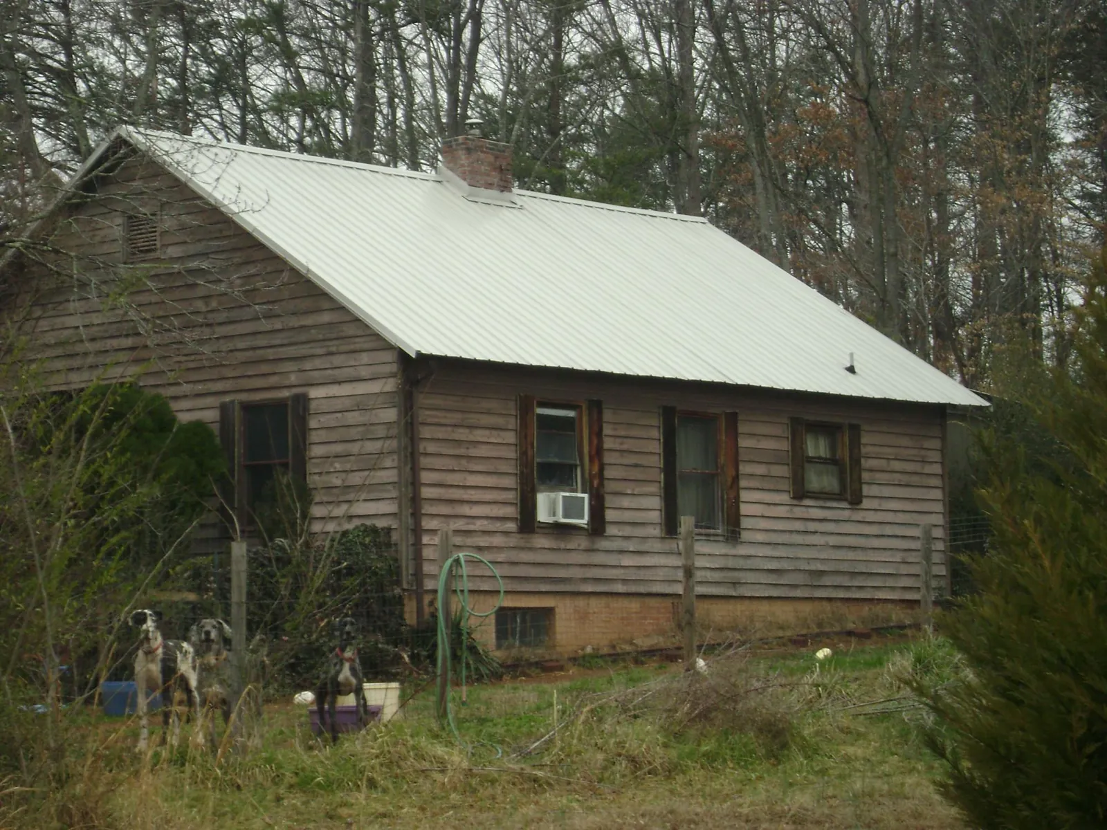 White metal roof on an old wood sided farmhouse, from a Asphalt Shingle Roof Repair job in Salley